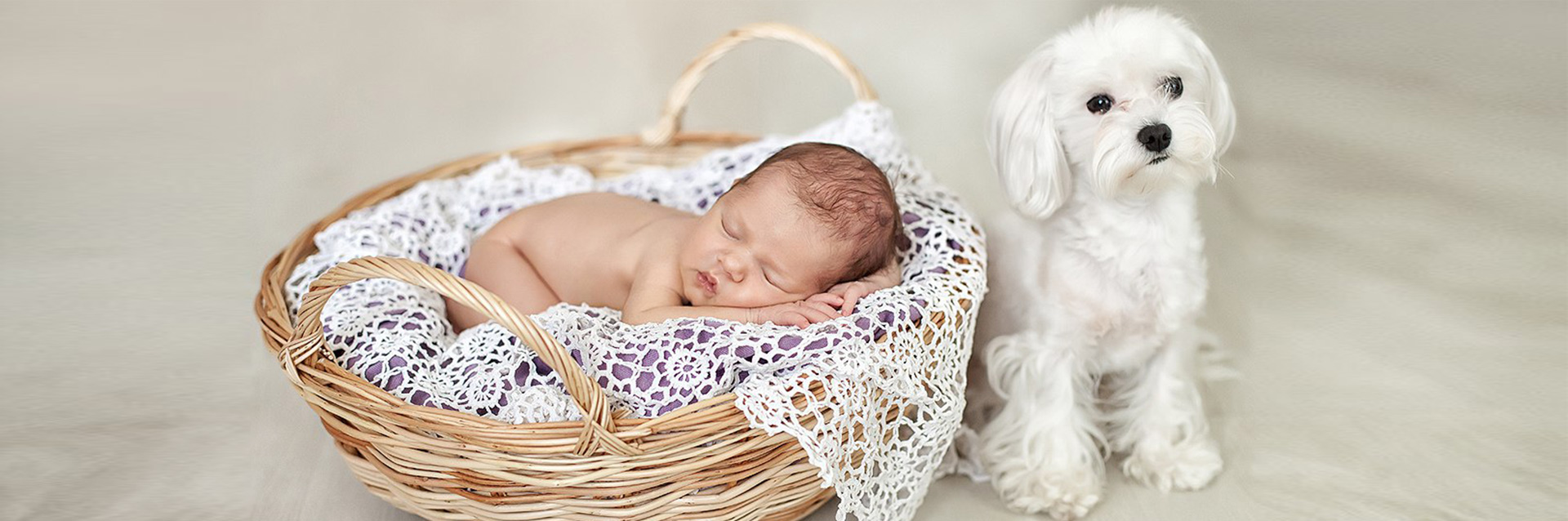 Корзина из лозы для фотосессии новорожденных